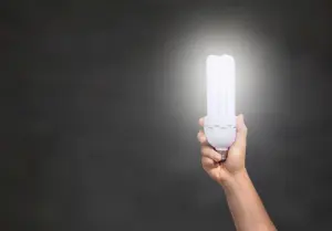 how to recycle light bulbs